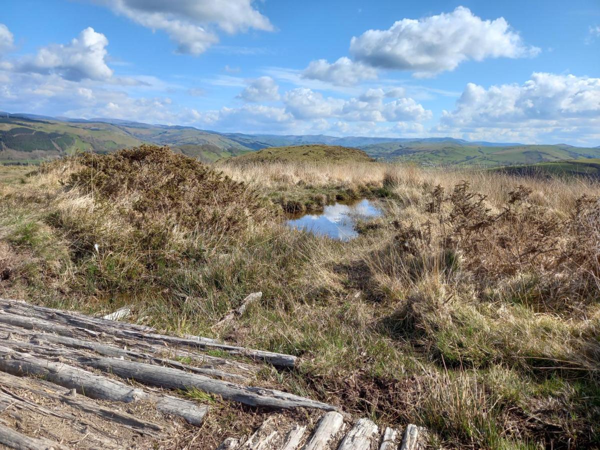 Bwthyn Gweilch Villa Machynlleth Luaran gambar
